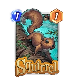 Squirrel