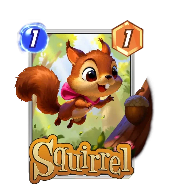 Squirrel — Chibi