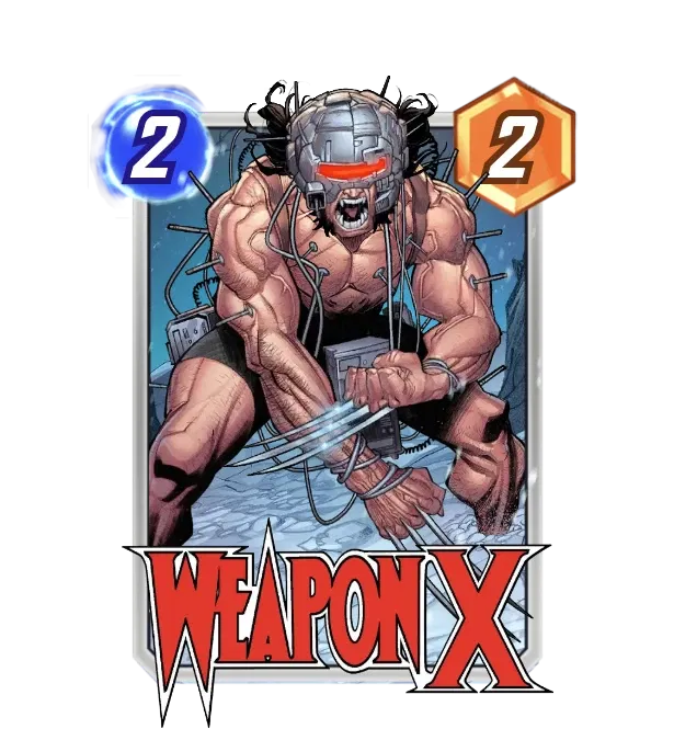 ブイ ヴァン サン Wildswans 財布 Begin別注 WILD SWANS | ワイルドスワンズ Begin別注