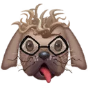 Shocked Face
