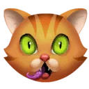 Shocked Face